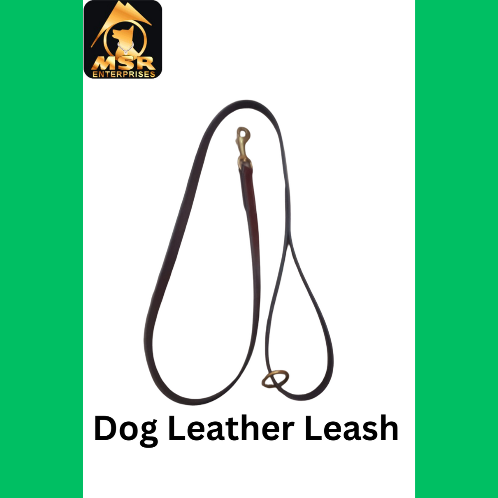 Leather Dog  Show Leash Export