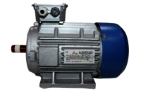 Torque Motor