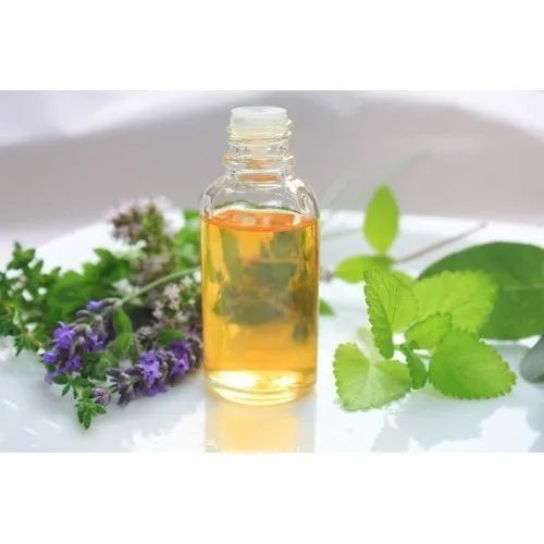 Menthol Oil Purity: High