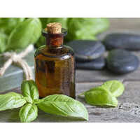 Tulsi Oil Storage: Dry Place