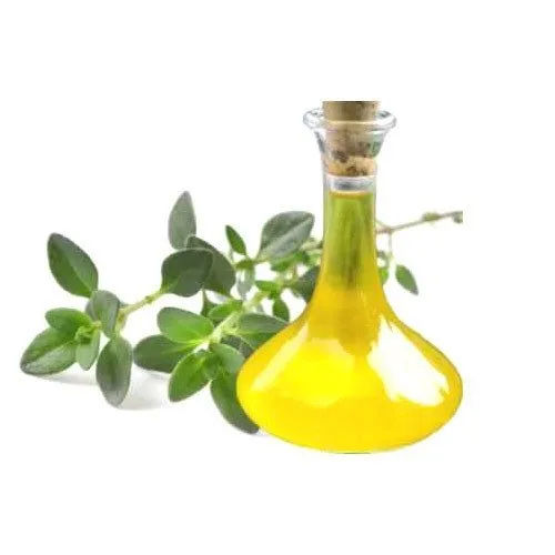 Organic Thyme Oil