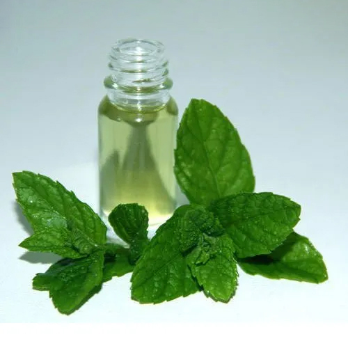 Mentha Arvensis Essential Oil