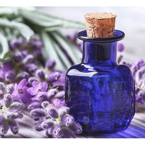 Lavandula Lavender Oil