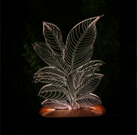 Acrylic Night Lamp