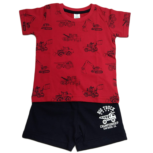 Boys Round Neck T-Shirt  And Short