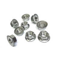 Stainless Steel Flange Nut