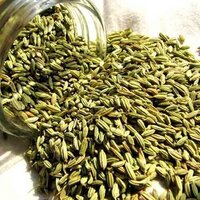 Fennel Seeds