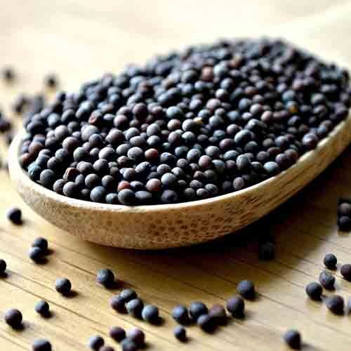 Black Mustard Seed