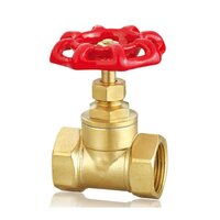 DN 15 Brass Gate valve screwed end for industry