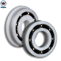 KMS Plastic Radial Ball Bearing