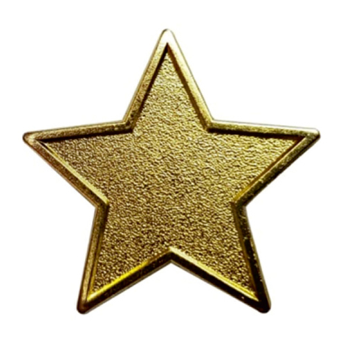 Brass Star Pin