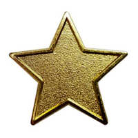 Brass Star Pin - High-quality Metal With Brass Plating, Golden Color, Custom-designed Logo | Versatile Pin Badge For Jackets, Hats, And Bags
