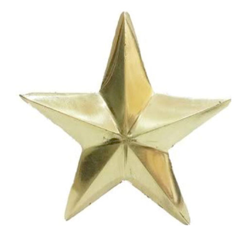 Golden Star Pin Badge