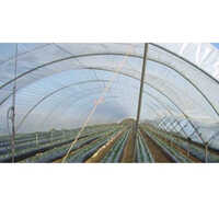 Poly House Plastic Sheet - LDPE Transparent Film, 5 Meter Width | UV Stabilized, Double Layer for 40% Heating Cost Reduction, Easy Installation