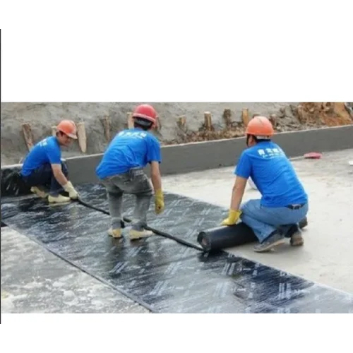 APP Membrane Waterproofing Service