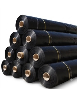 Black Ldpe Sheet Roll - Length: 50 Meter (M)