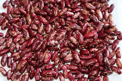 Red Speckled Kidney Beans Wholesale