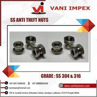 SS 304 Anti-Theft Nuts/Shear Nut