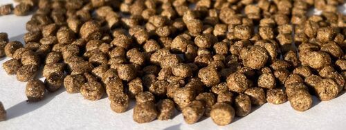 3MM FLOATING FISH FEED