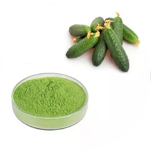 Spray dried Cucumber Powder