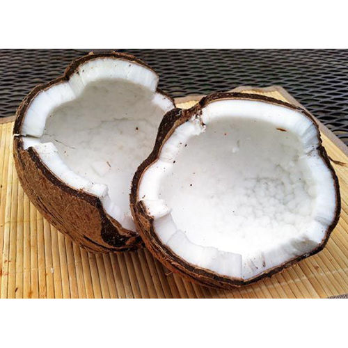 Common Fresh White Coconut