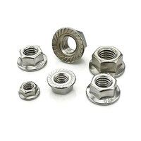 SS 304 Flange Nut