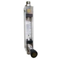 Glass Body Rotameter