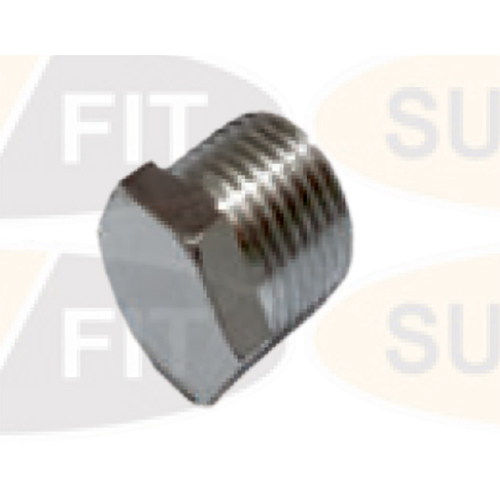 CPSF110 Hex Plug