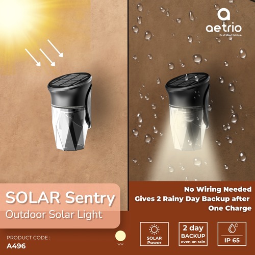 Solar Sentry Outdoor Solar Light