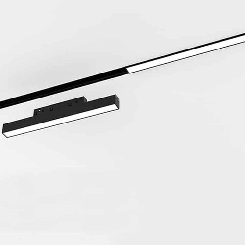 Magnetic Linear Diffused Light