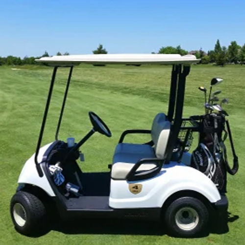 2 Seater Electric Golf Cart