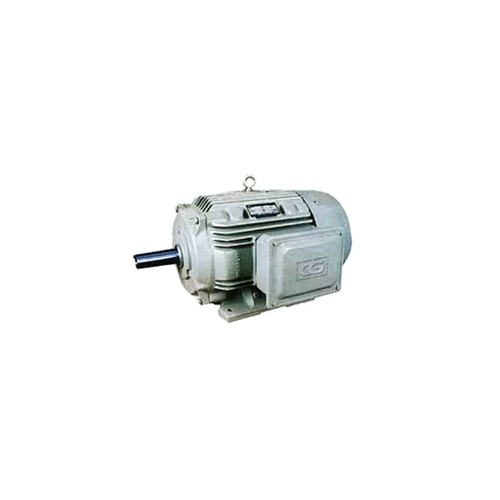 Crompton Three Phase Electric Motor