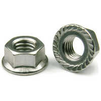 Hex Flange Nut