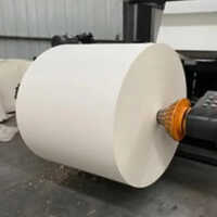 Spray Starch For Paper Industry