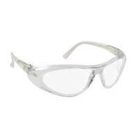 Polycarbonate S-100 Safety Goggles