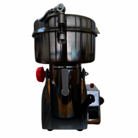 Instant Masala Grinder 300GM