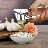 Steel Garlic Press - Color: Silver