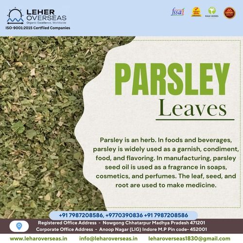 Parsley Leaves Dry Place