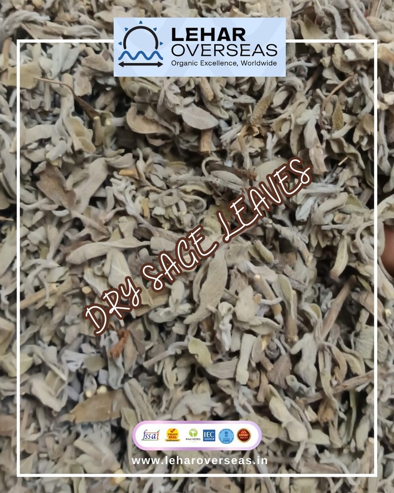 Sage Leaves - Dried Herbs Solid Form Earthy Brown Color | Robust Flavor Versatile Use for Meats Stuffing Pasta and Sauces