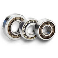 SKF 4205ATN9 Double Row Deep Groove Ball Bearing - Stainless Steel, 25 mm Inner Diameter x 52 mm Outer Diameter, Silver Color, Ideal for Industrial Use