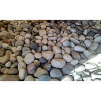 Natural Pebble Stone - 22 Mm Size, Multicolor Stones , Available In Various Thicknesses For Versatile Decorative Applications
