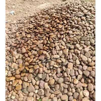 White Quartz Pebbles - Product Type: Natural Stone