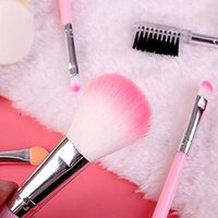 Mitsico 5 pcs Makeup Brush Set for women and girl for travel and home purpose use