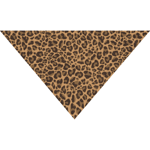 Printed Bandana