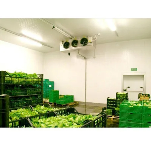 Fruits And Vegetables Cold Storage