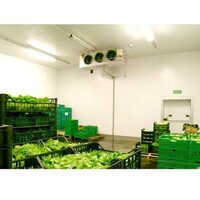 Fruits And Vegetables Cold Storage