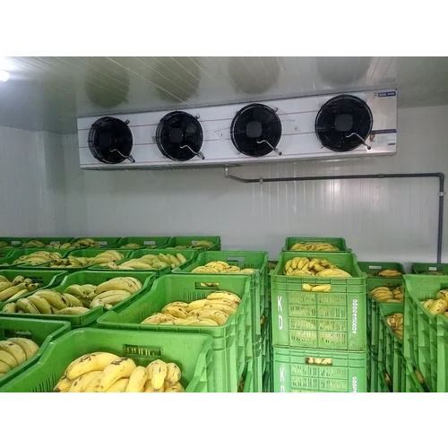 Silver 20 Ton Banana Ripening Chamber