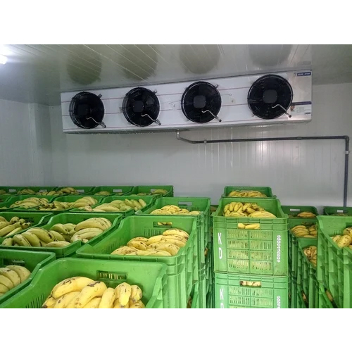 20 Ton Banana Ripening Chamber