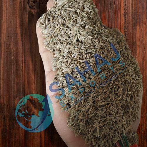 Light Brown Fresh Cumin Seeds