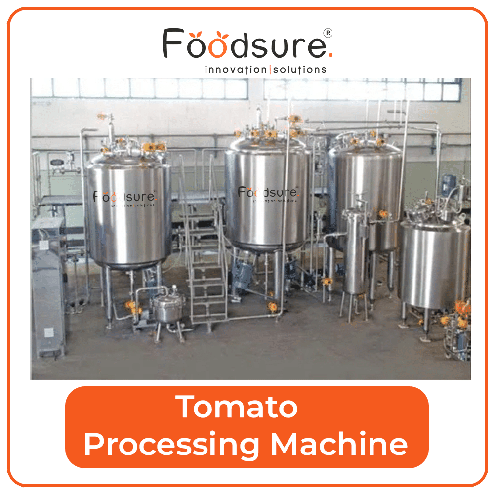 Tomato Processing and Ketchup Plant